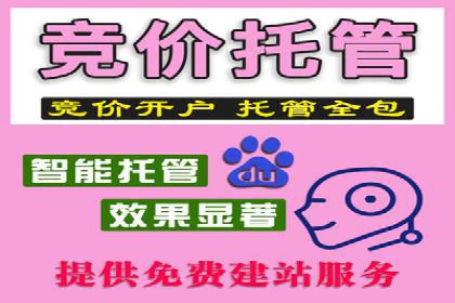 百度推广公司案例解析：如何提升品牌知名度